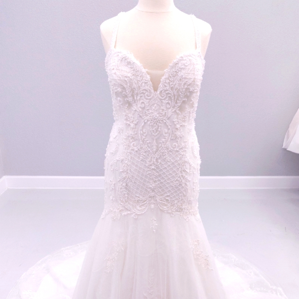 Gorgeous Fit and flare wedding gown